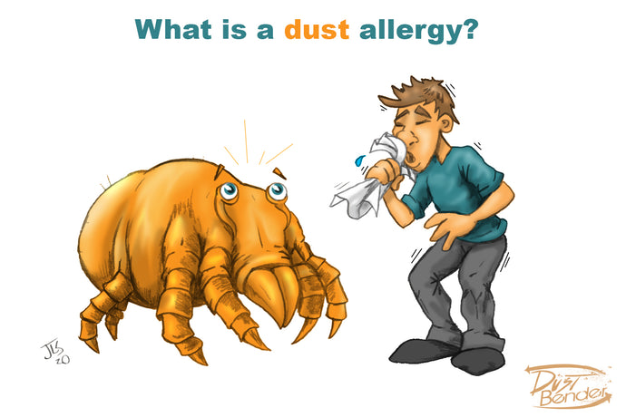 What is a Dust Allergy?